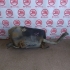 Топливный бак Б/У